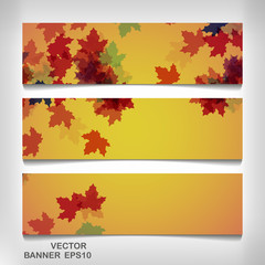 Wall Mural - Set of colorful autumn leaves banners
