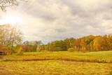 Fototapeta Na ścianę - Autumn landscape