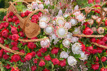 Fototapete - Festive flowers decoration at the Madeira Flower Festival. Madeira Islands, Portugal.