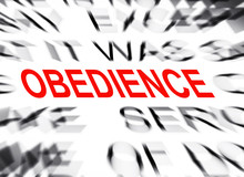 Blured Text With Focus On OBEDIENCE