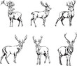 deer, deer figure, vector, illustration, black and white, silhouette