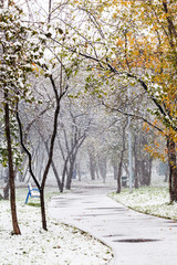 Poster - first snowfall in urban park in autumn