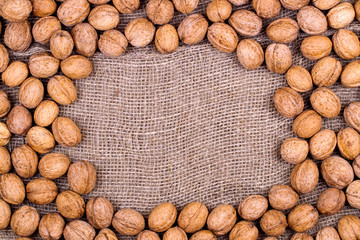 Wall Mural - Background from walnuts on burlap