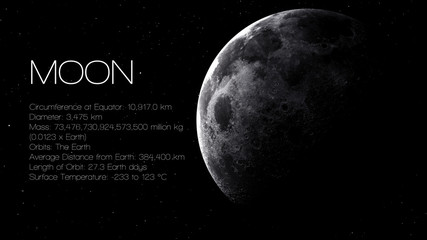 Wall Mural - moon - high resolution infographic presents one of the solar