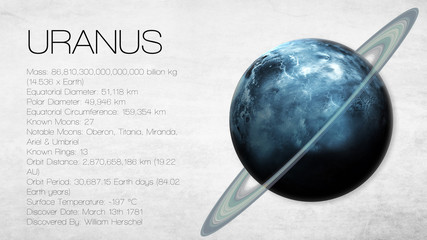 Wall Mural - uranus - high resolution infographic presents one of the solar