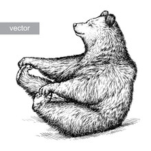 engrave bear illustration