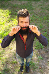 Wall Mural - Top view of man with beard