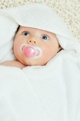 Wall Mural - newborn wrapped in blanket