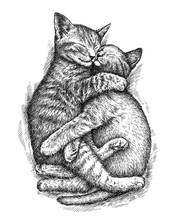 Engrave Kitten Illustration