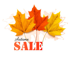 Fototapete - Autumn sales banner with colorful leaves. Vector.