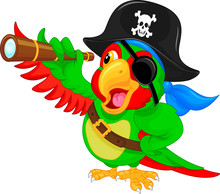 Pirate Parrot Cartoon
