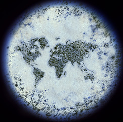bacterias in the shape of the world viewed through a microscope.