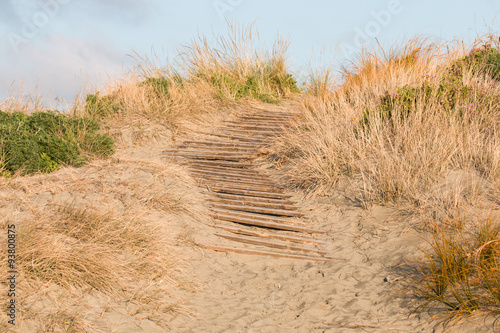Fototapeta na wymiar Wooden steps on sand dune on ocean shore at early morning