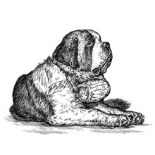 Engrave Dog Illustration 