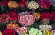street flower market in New York, USA