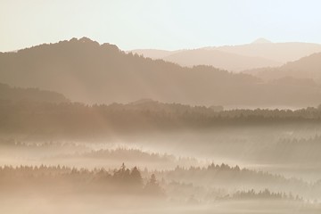 Wall Mural - Gentle misty landscape in hilly country. Autumn is beginning.  Retro style filter. Orange toning effect.