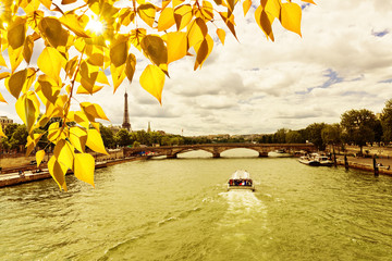 Wall Mural - Eiffel Tower with autumn leaves in Paris, France