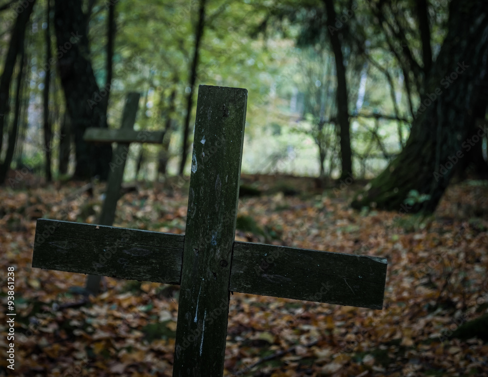 Drewniane krzyże na nieczynnym cmentarzu osadników na górze Donas w Gdyni - obrazy, fototapety, plakaty 