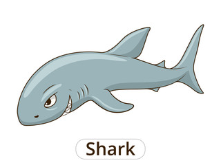 Wall Mural - shark sea animal fish cartoon illustration