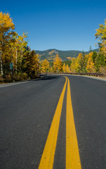 Wall Mural - Colorado Road in Fall