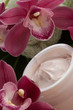 Face Cream and Pink Orchid