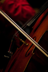 Poster - The fiddlestick  on the strings cello closeup