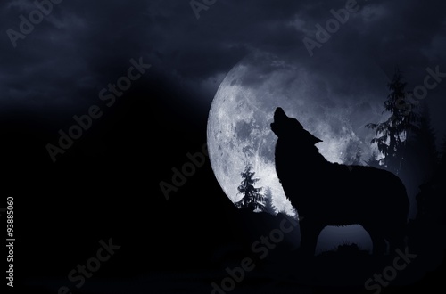 Foto-Tischdecke - Howling Wolf Background (von Tomasz Zajda)