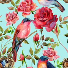Watercolor Birds On The Pink And Red Roses