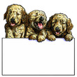 Three puppy on white background vector illustration for text message greeting of festival holiday.