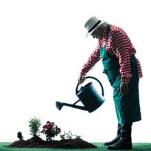 Gardener Man Gardening Isolated Silhouette