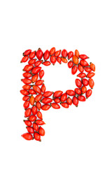 Poster - Red hip rose capital letter p