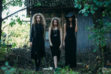 Three Vintage Witch Go To The Sabbat