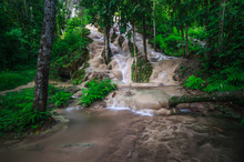 Bua Tong (Sticky Waterfall) In North,Chiangmai,Thailand.