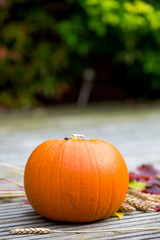 Close up of the Orange Pumpkin and Autumn Leaves on Wooden Backg