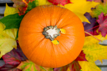 Close up of the Orange Pumpkin and Autumn Leaves on Wooden Backg