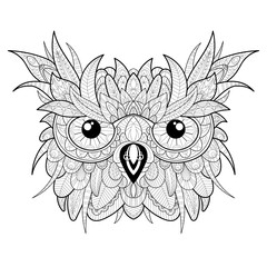 Hand drawn cute owl portrait for adult coloring page