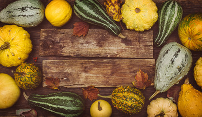 Wall Mural - pumpkins on a wooden board