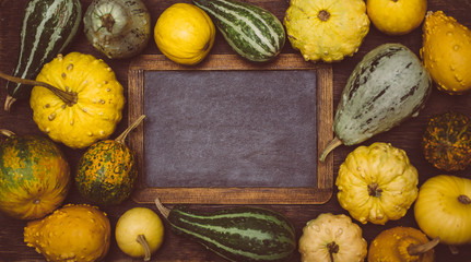 Wall Mural - pumpkins and vintage blackboard