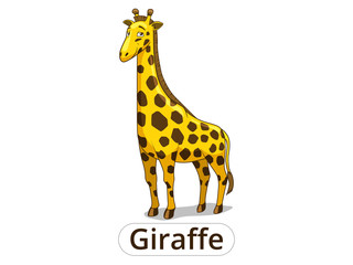 Wall Mural - Giraffe african savannah animal cartoon vector