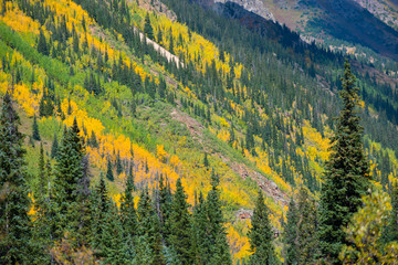 Wall Mural - Colorado Fall Foliage Conundrum Hot Springs Trail