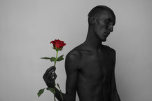 Gothic And Halloween Theme: A Man With Black Skin Holding A Red Rose, Black Death Isolated On A Gray Background In Studio