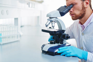 Wall Mural - modern chemist