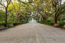 Benches In Forsyth Park