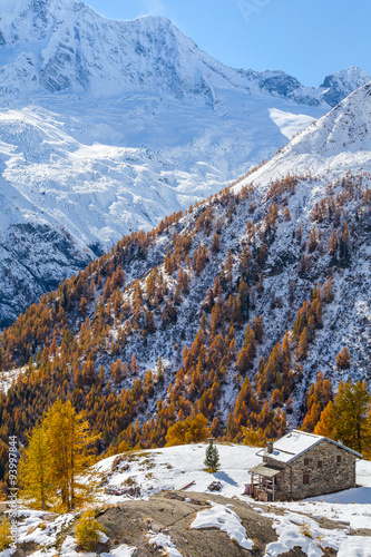 Fotografie, Obraz Valmalenco (IT) - Chiareggio - Alpe dell'Oro