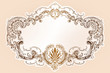 © Alexandr Sidorov - Luxury vector frame with border in rococo style
