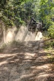Fototapeta Dmuchawce - Forest harvester in the dust