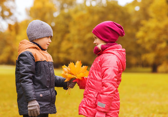 little boy giving autumn maple leaves to girl