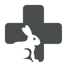 Icono Plano Conejo En Cruz Sanidad Gris #1