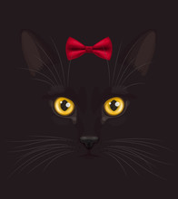 Black Cat With Bow