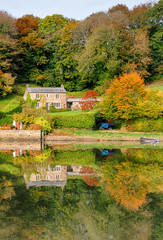 Wall Mural - Autumn at Lerryn in Cornwall